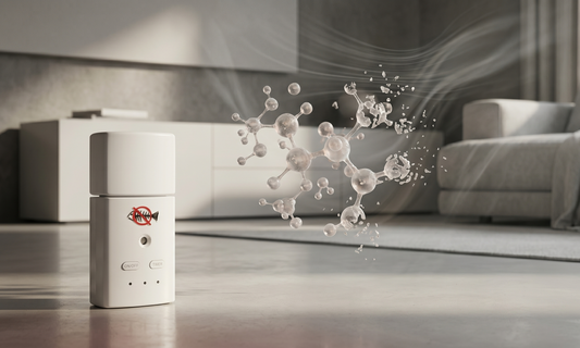 The Science of Smell: How Odour Molecules Work and How to Break Them