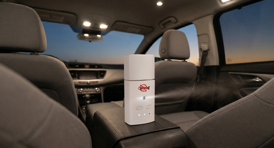 Why Your Car Still Smells (And How to Actually Fix It)